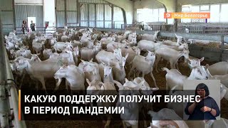 Какую поддержку получит бизнес в период пандемии