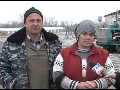 Онлайн-обслуживание от Россельхозбанка