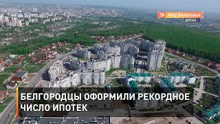 Белгородцы оформили рекордное число ипотек