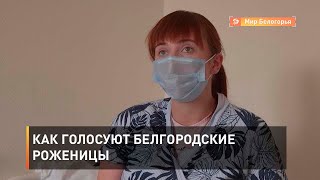 Как голосуют белгородские роженицы