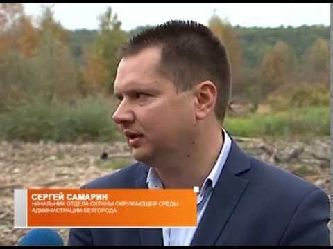 Расчистка Сосновки