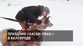Праздник «Хаски-Trail» в Белгороде 