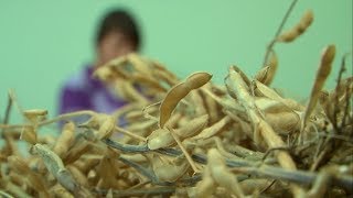 День науки в Белгородском аграрном университете