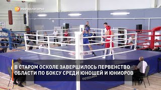 В Старом Осколе завершилось Первенство области по боксу среди юношей и юниоров