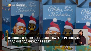 В школы и детсады области начали развозить сладкие подарки для ребят