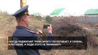 «Когда поджигают траву, много что погибает. И семена, и растения. И люди этого не понимают»