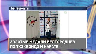 Золотые медали белгородцев по тхэквондо и карате
