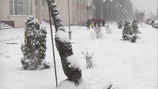 1,5 млн рублей на социальные проекты Старого Оскола