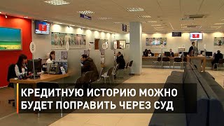 Кредитную историю можно будет поправить через суд