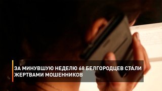 За минувшую неделю 68 белгородцев стали жертвами мошенников