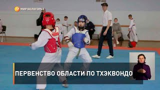 Первенство области по тхэквондо