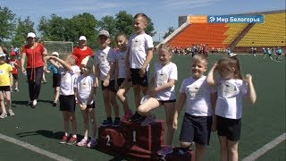 Спартакиада дошкольников в Старом Осколе