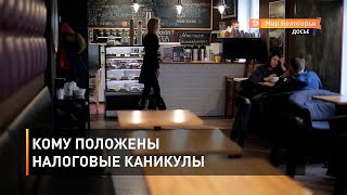 Кому положены налоговые каникулы