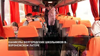 Каникулы белгородских школьников в воронежском лагере