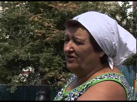 В Белгороде борются с вредителем - американской зеленой бабочкой