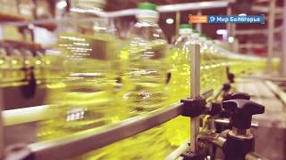Проект «Мира Белогорья» – лучший в конкурсе Минсельхоза