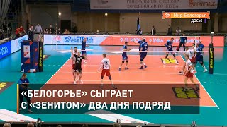 «Белогорье» сыграет с «Зенитом» два дня подряд