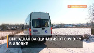 Выездная вакцинация от COVID-19 в Иловке