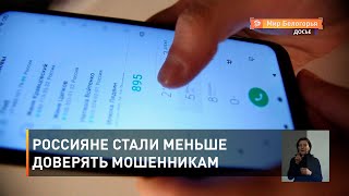 Россияне стали меньше доверять мошенникам 