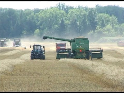 Рекордный урожай зерновых в Белгородской области