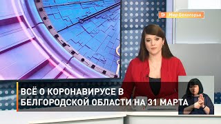 Всё о коронавирусе в Белгородской области на 31 марта