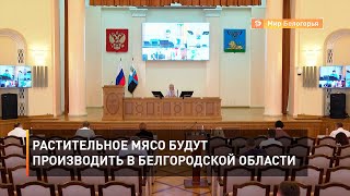 Растительное мясо будут производить в Белгородской области 