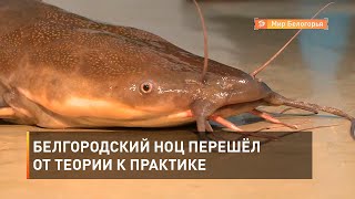 Белгородский НОЦ перешёл от теории к практике