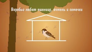 Как правильно кормить птиц зимой