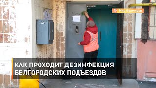 Как проходит дезинфекция белгородских подъездов 