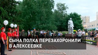 Сына полка перезахоронили в Алексеевке