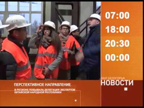 Смотрите на «Мире Белогорья» сегодня, 10 ноября