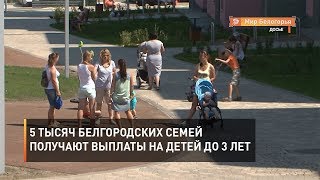 5 тысяч белгородских семей получают выплаты на детей до 3 лет