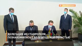 Делегация из Ставрополя познакомилась с Белгородской областью