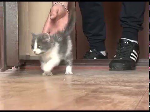 Жилье для старооскольских сирот 
