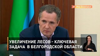Увеличение лесов - ключевая задача в Белгородской области