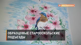 Образцовые старооскольские подъезды 