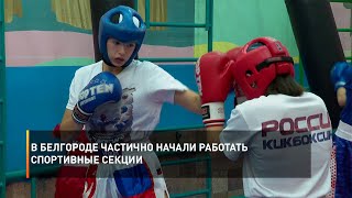В Белгороде частично начали работать спортивные секции