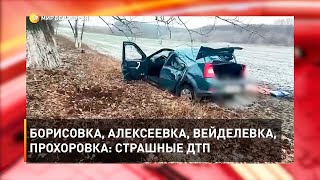 Борисовка, Алексеевка, Вейделевка, Прохоровка: страшные ДТП 