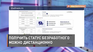 Получить статус безработного можно дистанционно