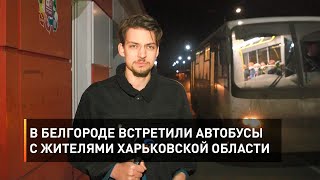 В Белгороде встретили автобусы с жителями Харьковской области
