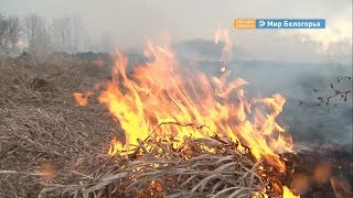 Пожар в Казачьем Прохоровского района