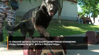 «С собакой должны быть взаимодоверчивые отношения, чтобы понимали друг друга с полувзгляда»
