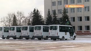 Решение проблем с маршрутками в Валуйках