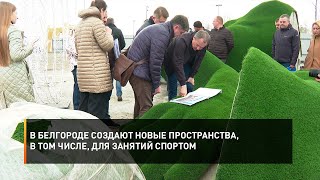 В Белгороде создают новые пространства, в том числе, для занятий спортом