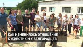 Как изменилось отношение к животным у белгородцев