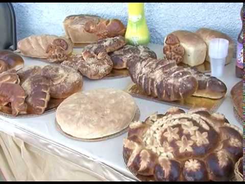 Проверка зарплат в Ракитянском районе