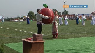 День Корочанского района