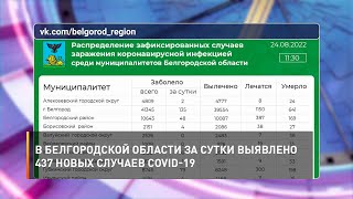 В Белгородской области за сутки выявлено 437 новых случаев COVID-19