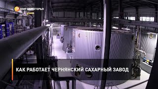 Как работает Чернянский сахарный завод