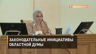 Законодательные инициативы областной думы
